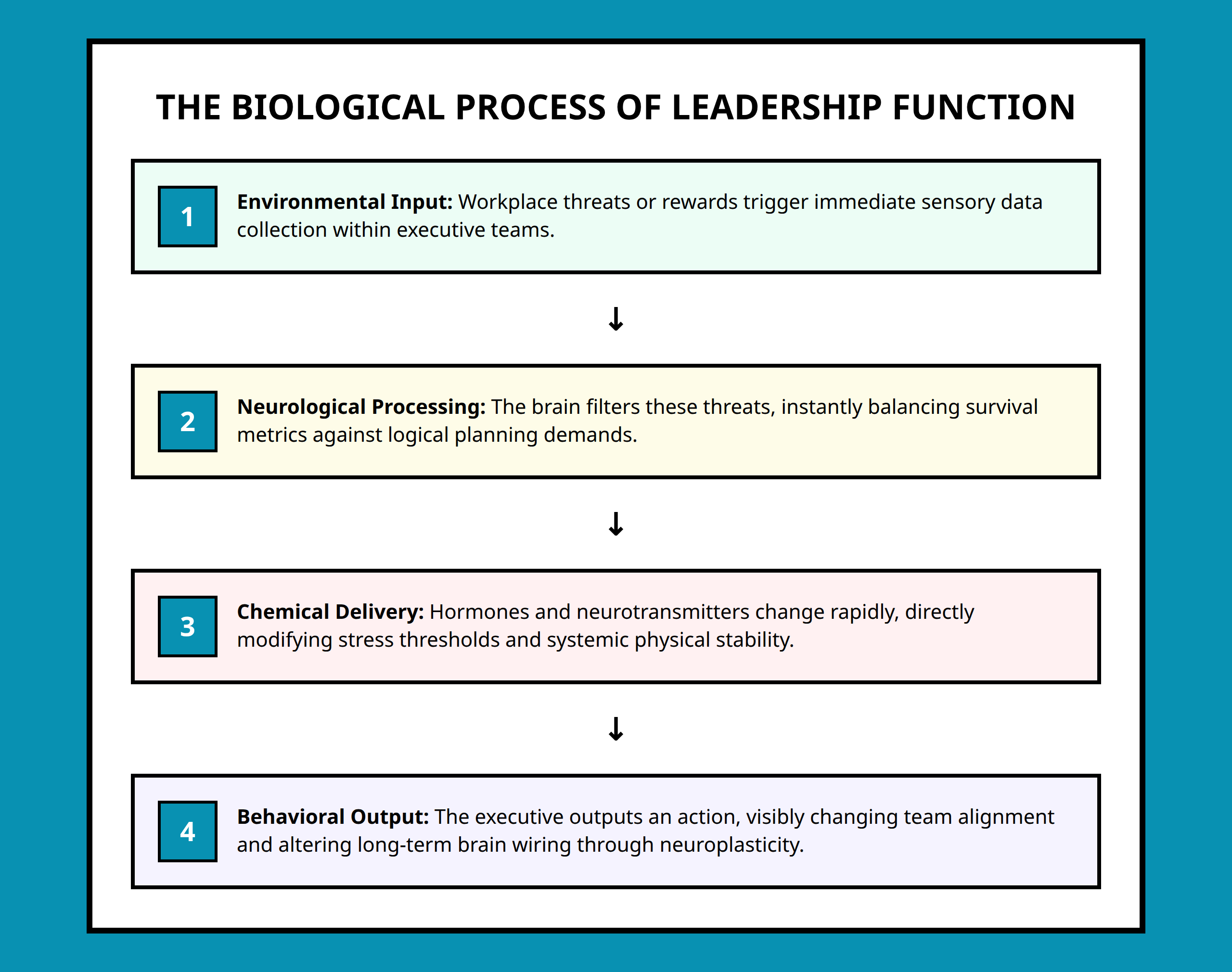 Flowchart showing the link between organizational stress and executive brain function changes