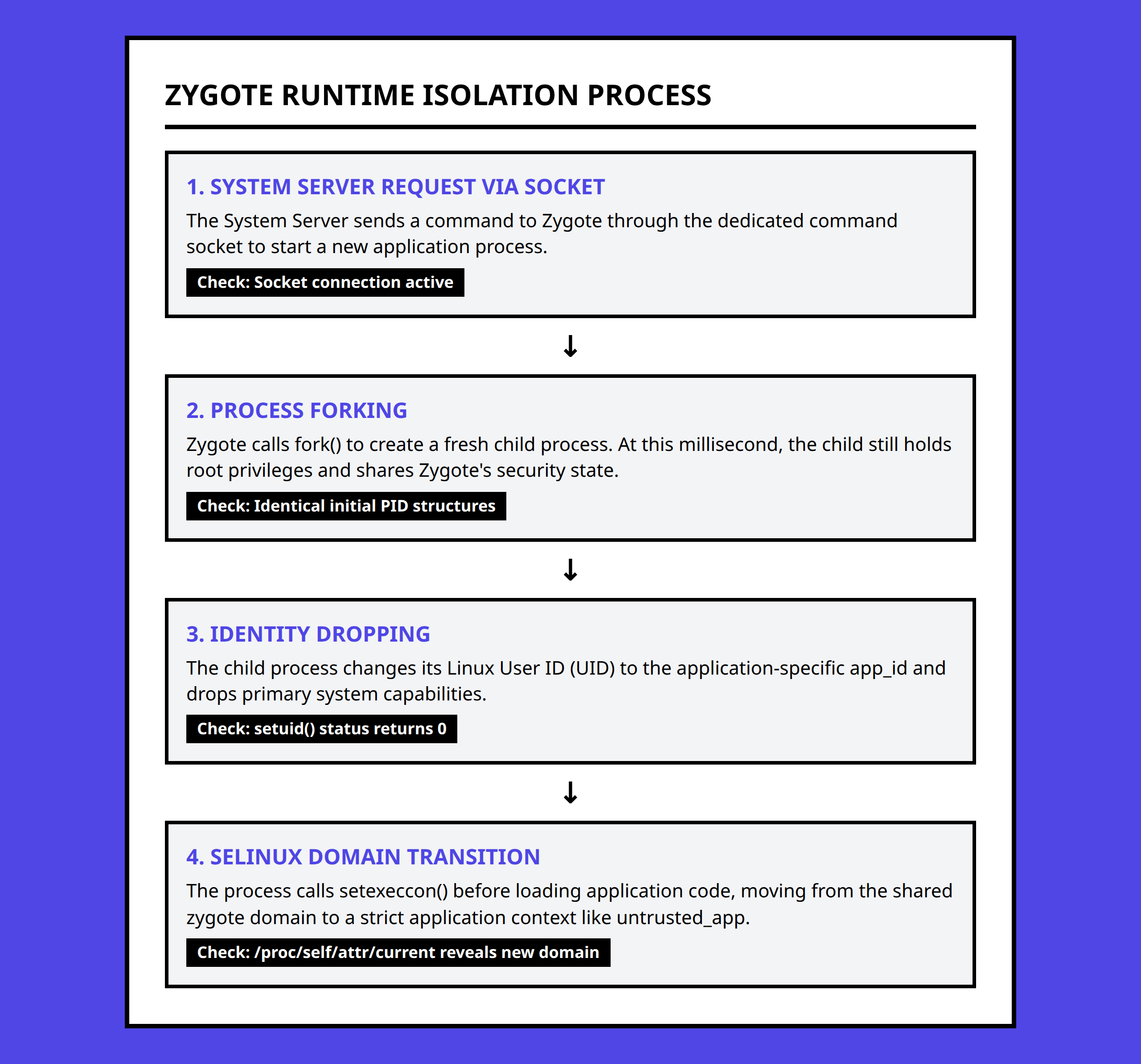 Flowchart showing Zygote process splitting, changing UID, and dropped privileges for app startup